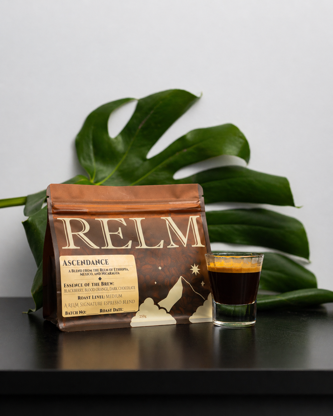 relm espresso 2

