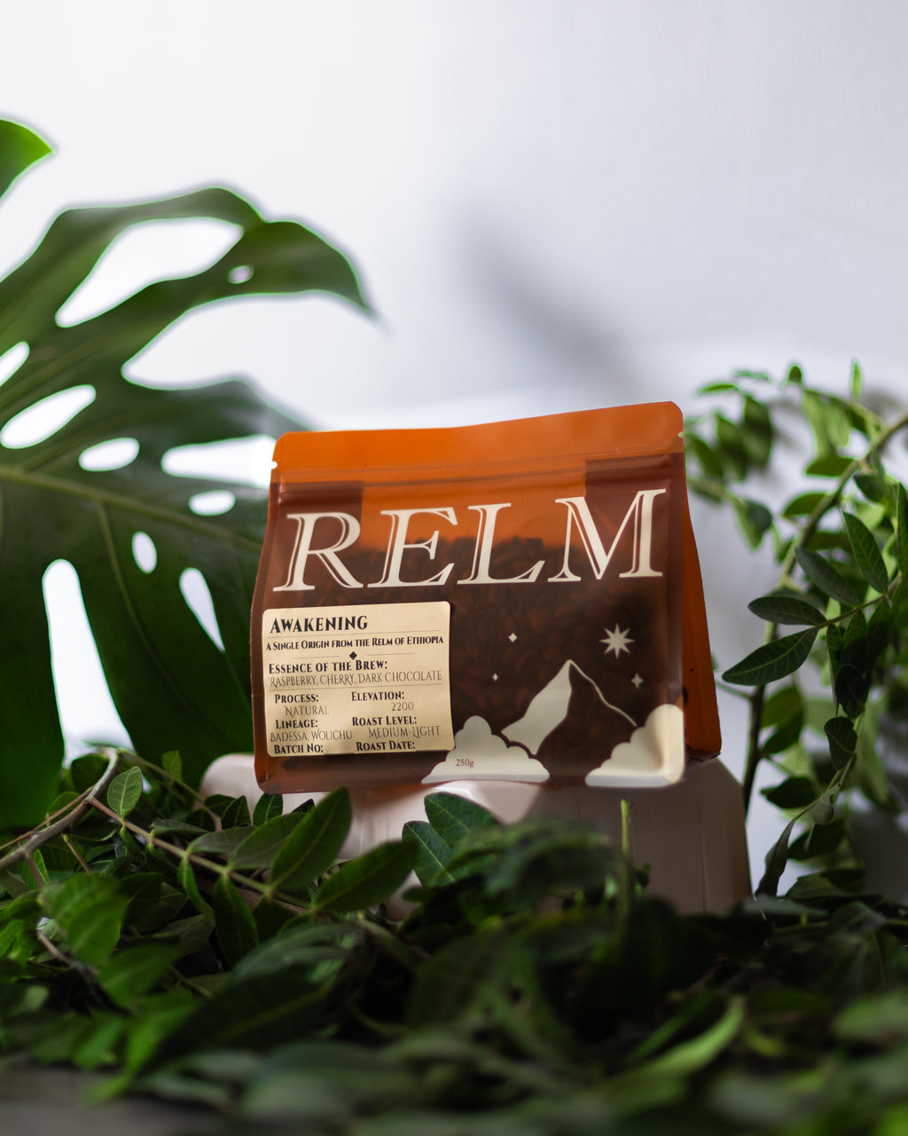 Awakening - Ethiopia Guji Danbi Natural