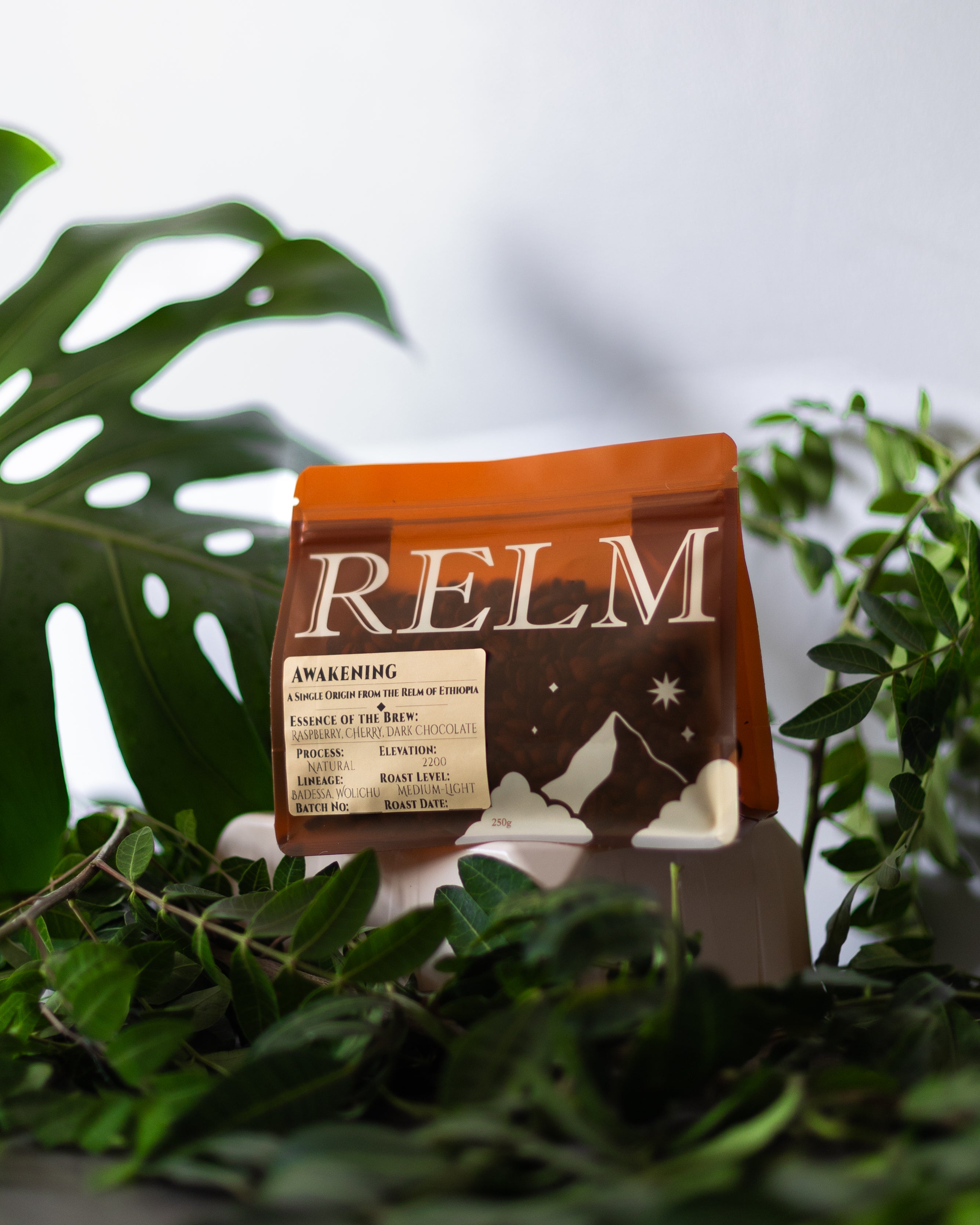Awakening - Ethiopia Guji Danbi Natural